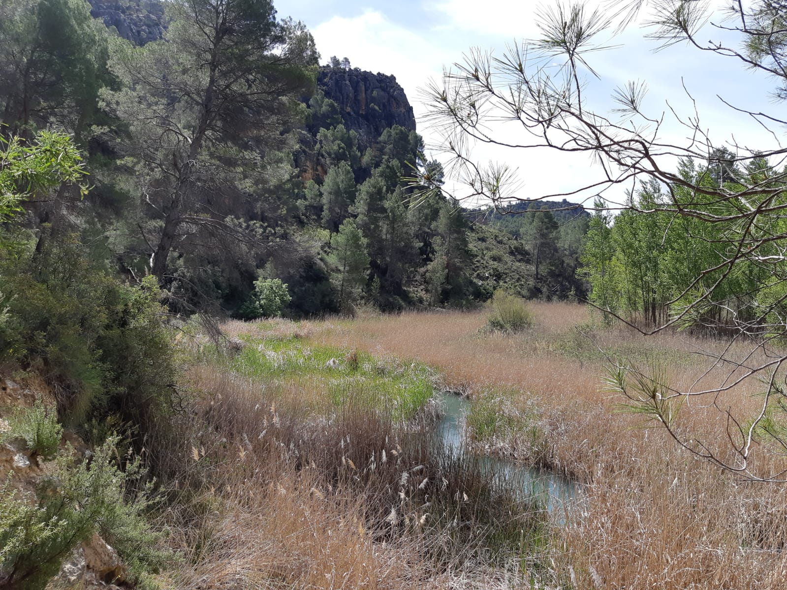 Imagen Vista del Río Taibilla